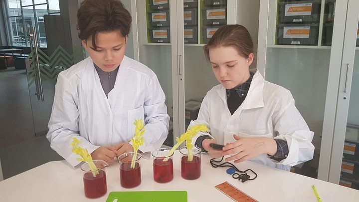 ISK s Grade 7 students are currently studying biology in Science class...