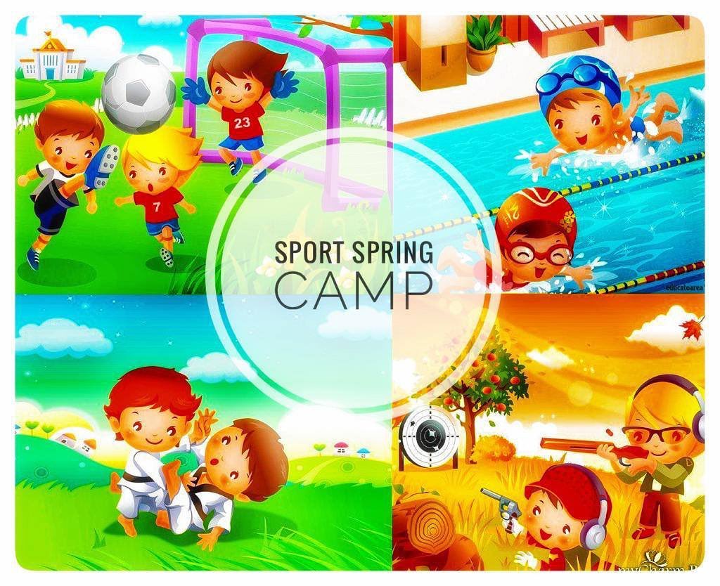 Наши партнеры  Sport Dragons приглашают детей в спортивный лагерь     ...