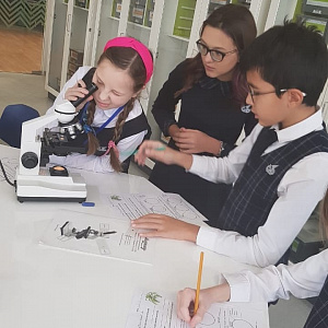 ISK s Grade 6 students have been examining animal and plant cells  Han...