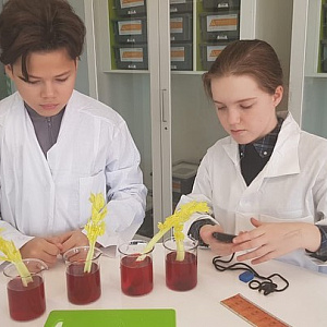 ISK s Grade 7 students are currently studying biology in Science class...
